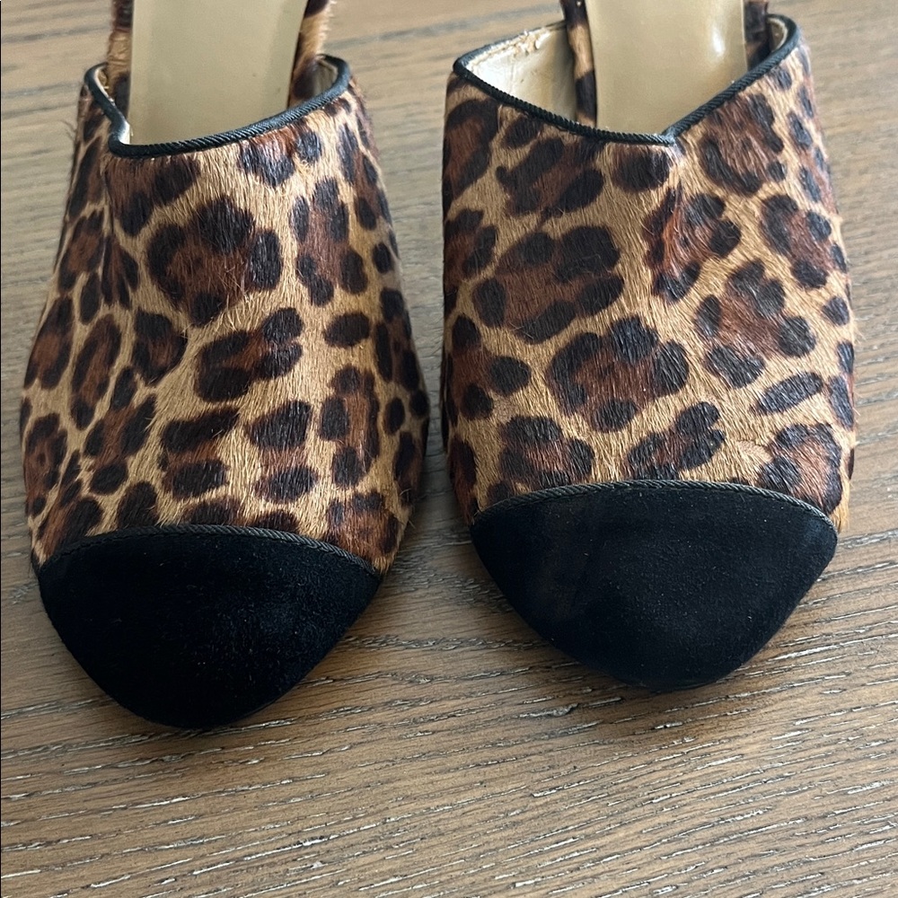 Ann Taylor Calf Hair Leopard Print Women's Mules Black Suede Toe Tip Size 6.5 - Picture 2 of 10
